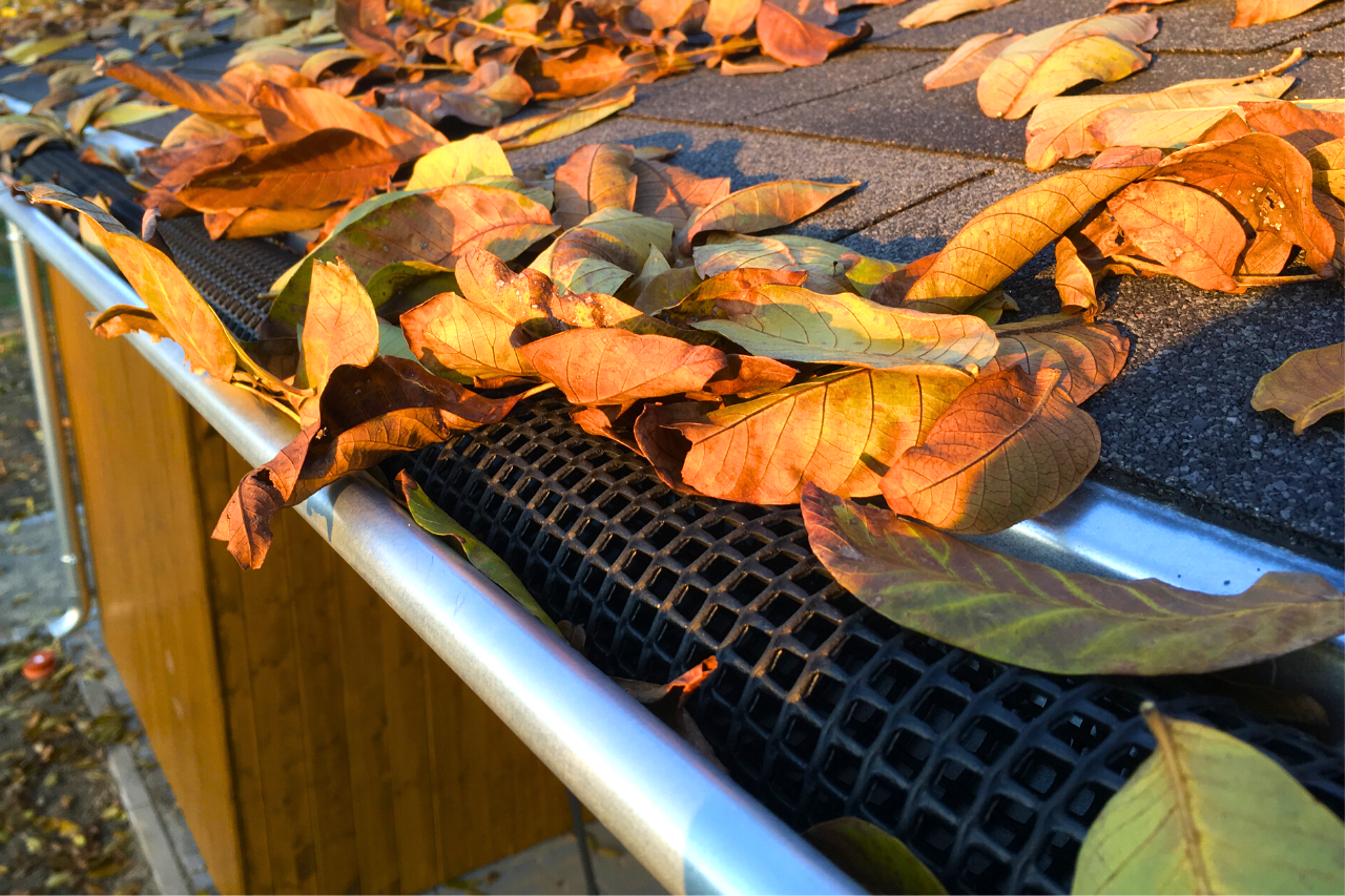 Připravte zahradu na podzim - Milmar