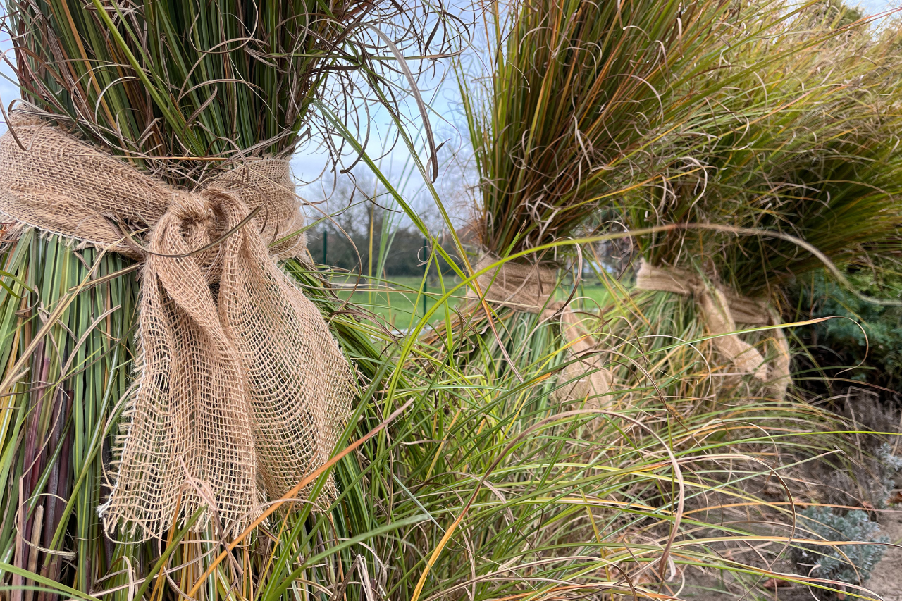 Zazimování zahrady: 5 činností, které mají prioritu - Milmar